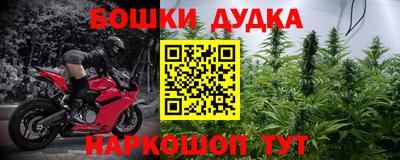 индика Владикавказ