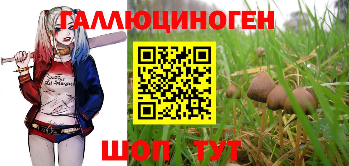 Галлюциногенные грибы GOLDEN TEACHER Воткинск