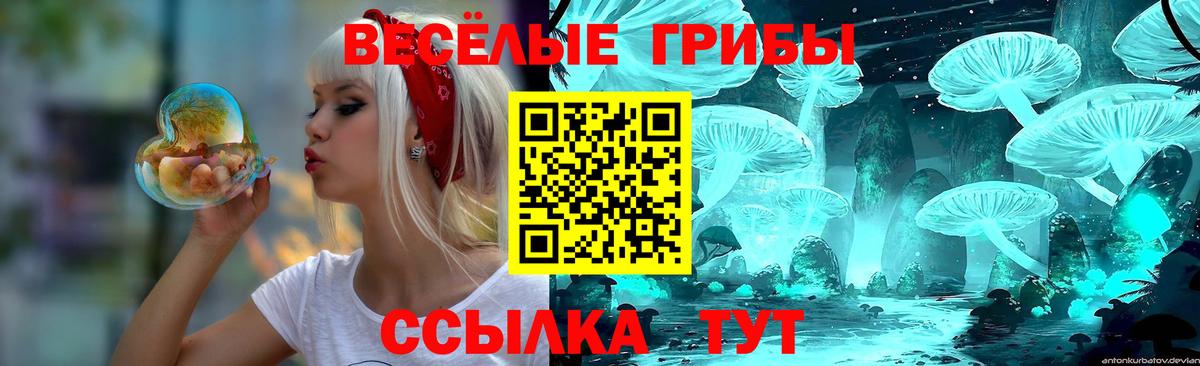 Псилоцибиновые грибы мицелий  Вход с VPN  Воткинск 